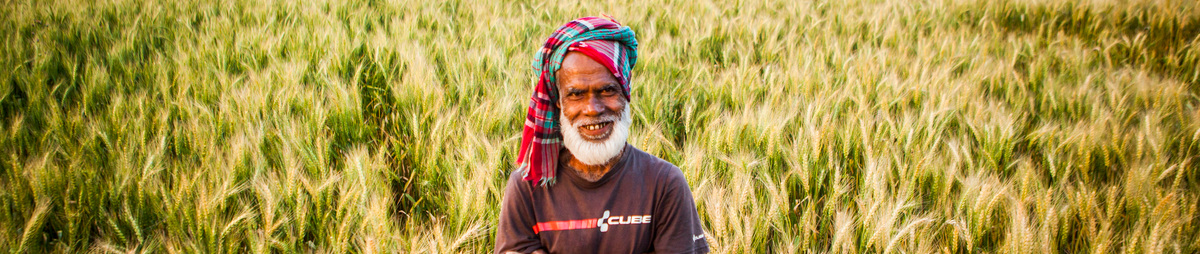 boer-veld-landbouw-oogst-voeding-graan-azie-pakistan-india-fier.jpg