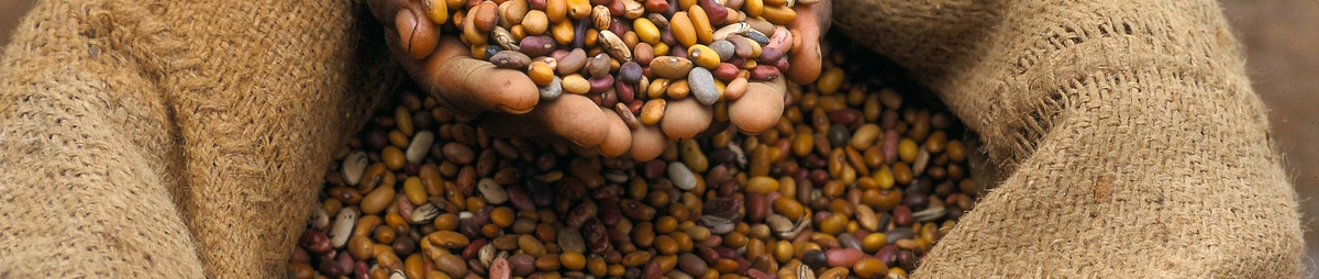 bonen-congo-foto-dirk-peeters.jpg