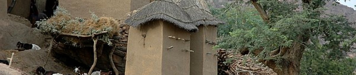 dogondorp-in-mali.jpg