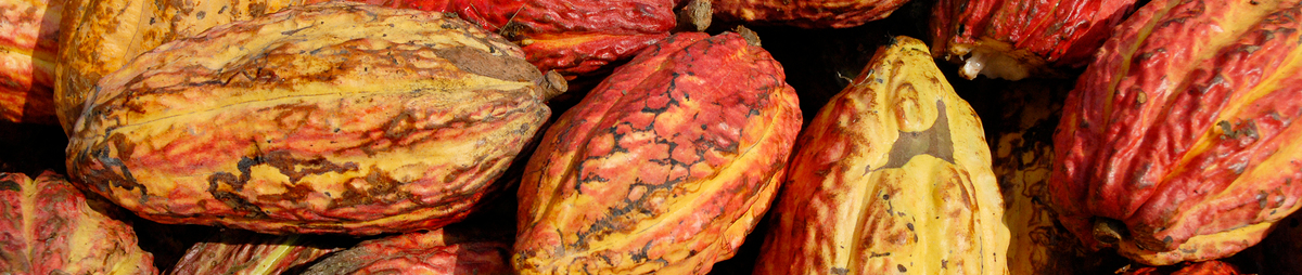 wcocoa_pods_copyright20didier20gentilhomme_mp_hr.jpg